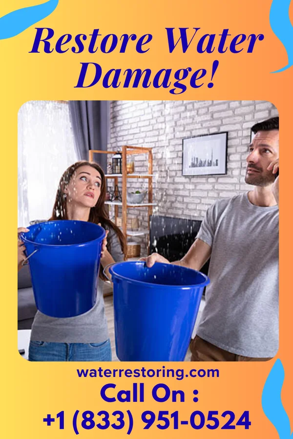 water restoration Patriot Property Restoration Authority Livingston
