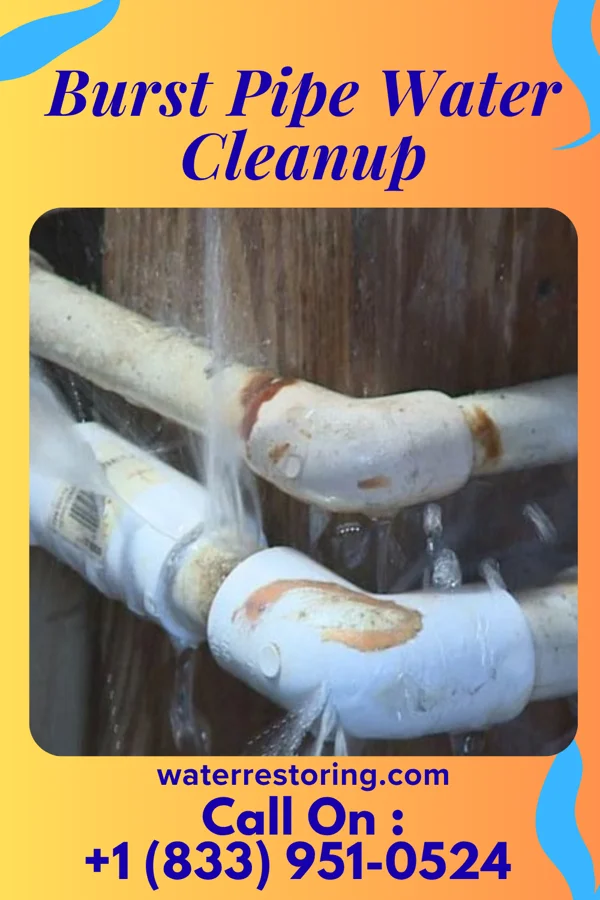 Burst Pipe Water Cleanup in Livingston, TN