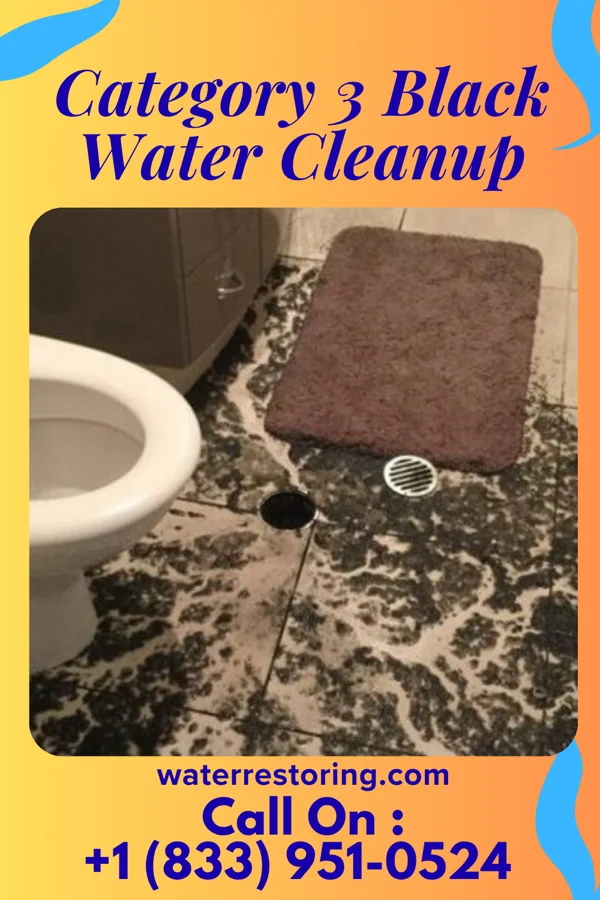 Category 3 Black Water Cleanup in Livingston, TN
