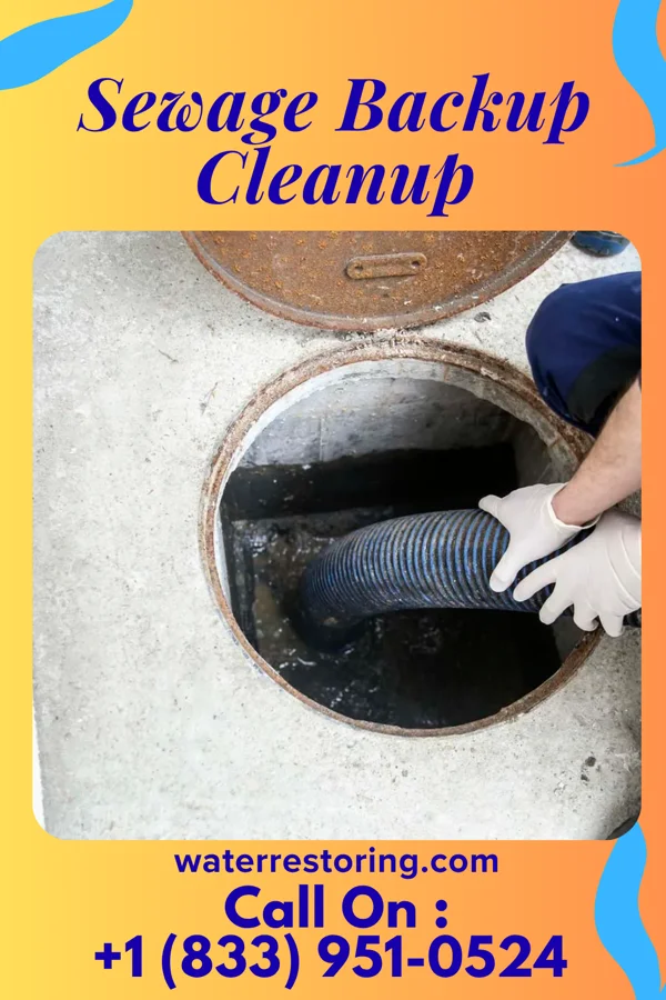 Sewage Backup Cleanup in Livingston, TN