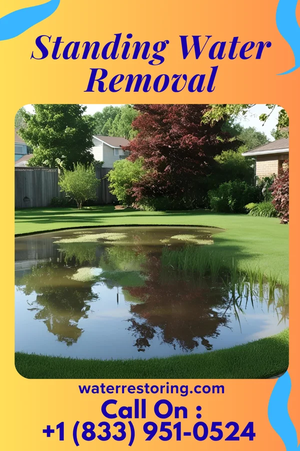Standing Water Removal in Livingston, TN